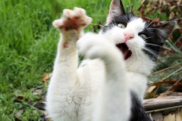 爱游戏官方-逆流者，当不被看好成为唯一的通行证