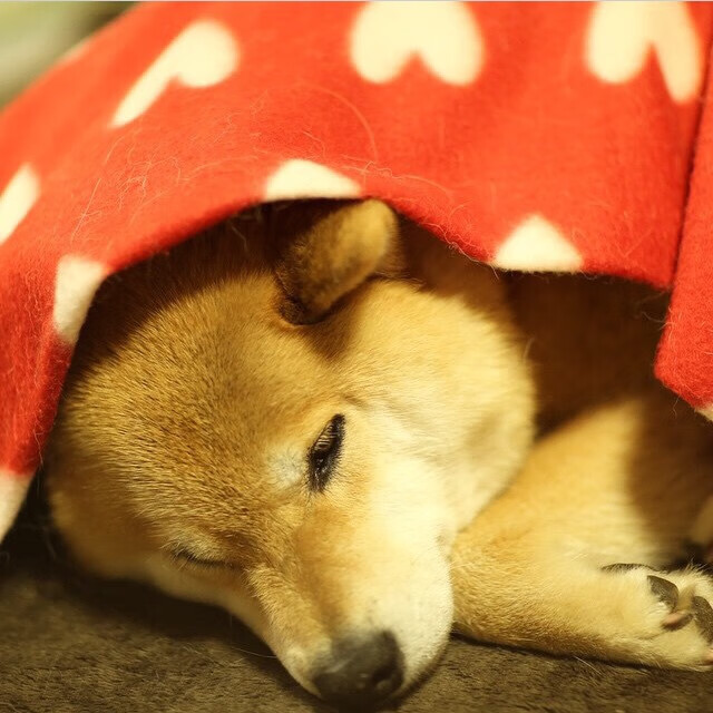 爱游戏体育-特洛伊木马潜入诺坎普，赖斯化身关键先生破解巴萨神话