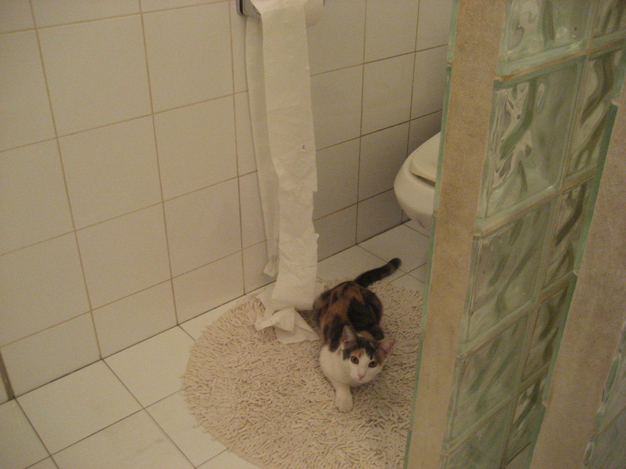 南美逆袭！巴拉圭无名小卒掀翻法甲豪门，卡塞米罗赛后评分获满分致敬