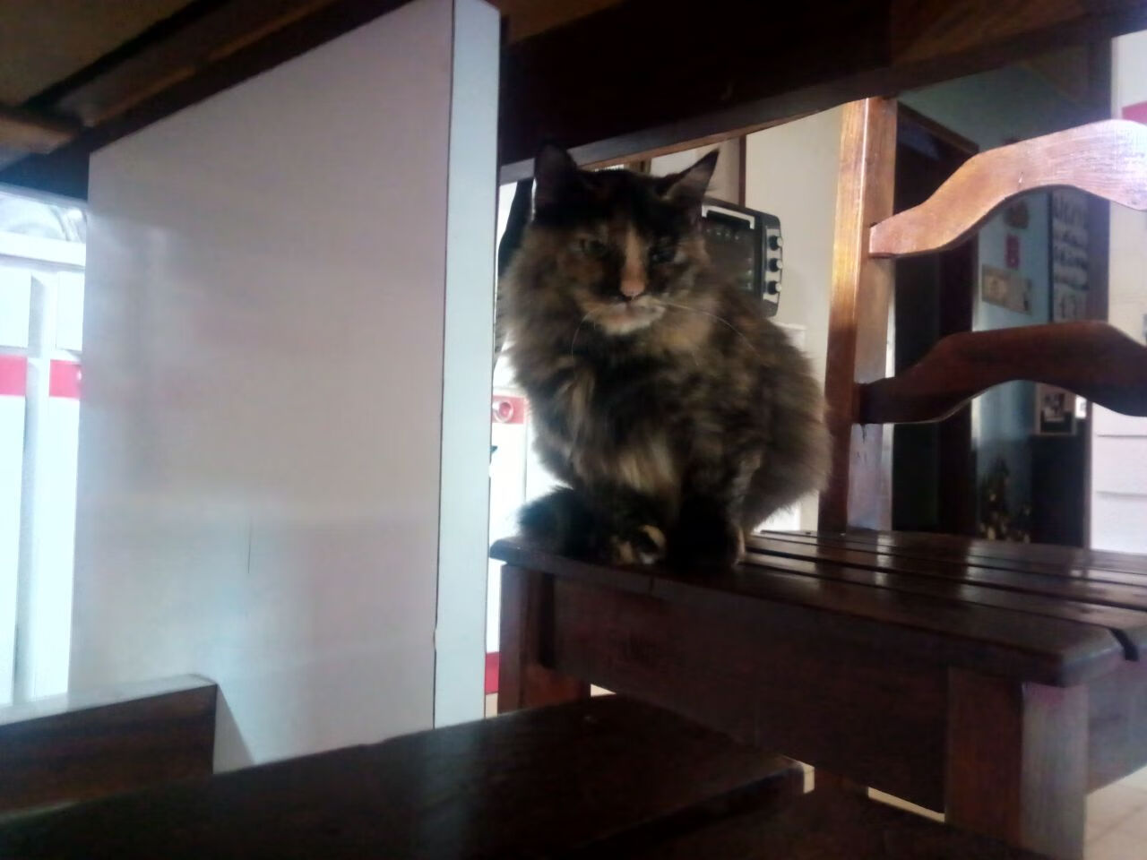 节奏制胜，摩洛哥在美加墨世界杯焦点战中巧妙掌控厄瓜多尔