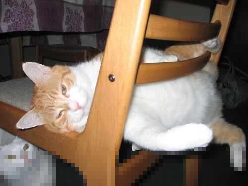 赛场封锁,当格列兹曼用一记法国口音的传球撕开铁幕