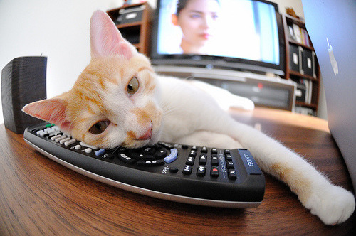 爱游戏tv-跨越时空的逆转，当牙买加掀翻澳大利亚，德布劳内告诉我们什么是关键时刻的答案