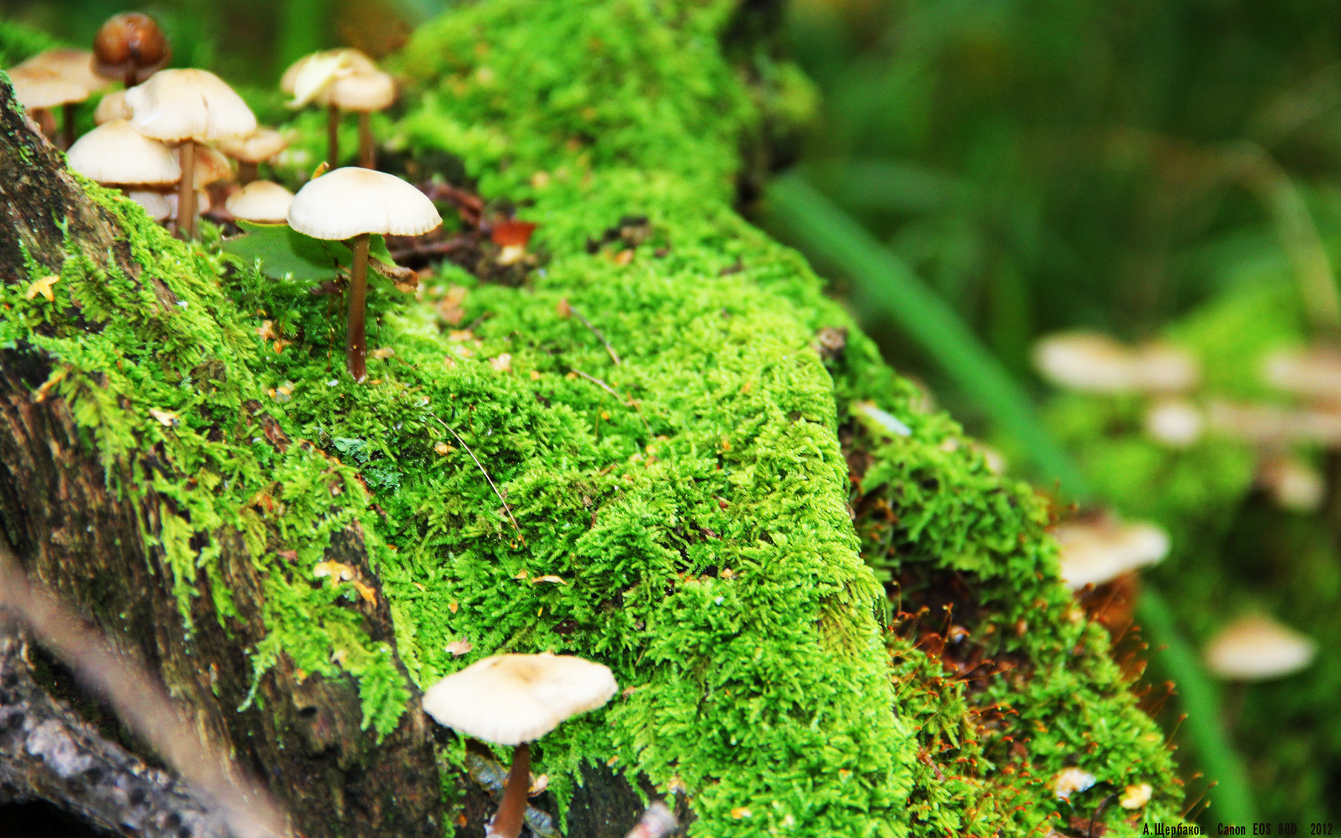 爱游戏大厅-跨界火箭对决，当新疆重箭点燃休斯顿传奇夜