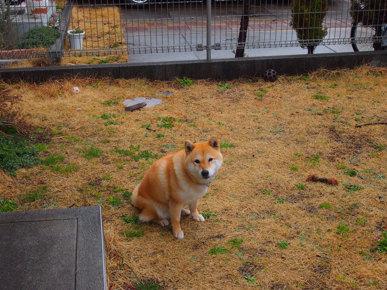 双重封锁的破冰者,从本泽马的利刃到牙买加的怒涛