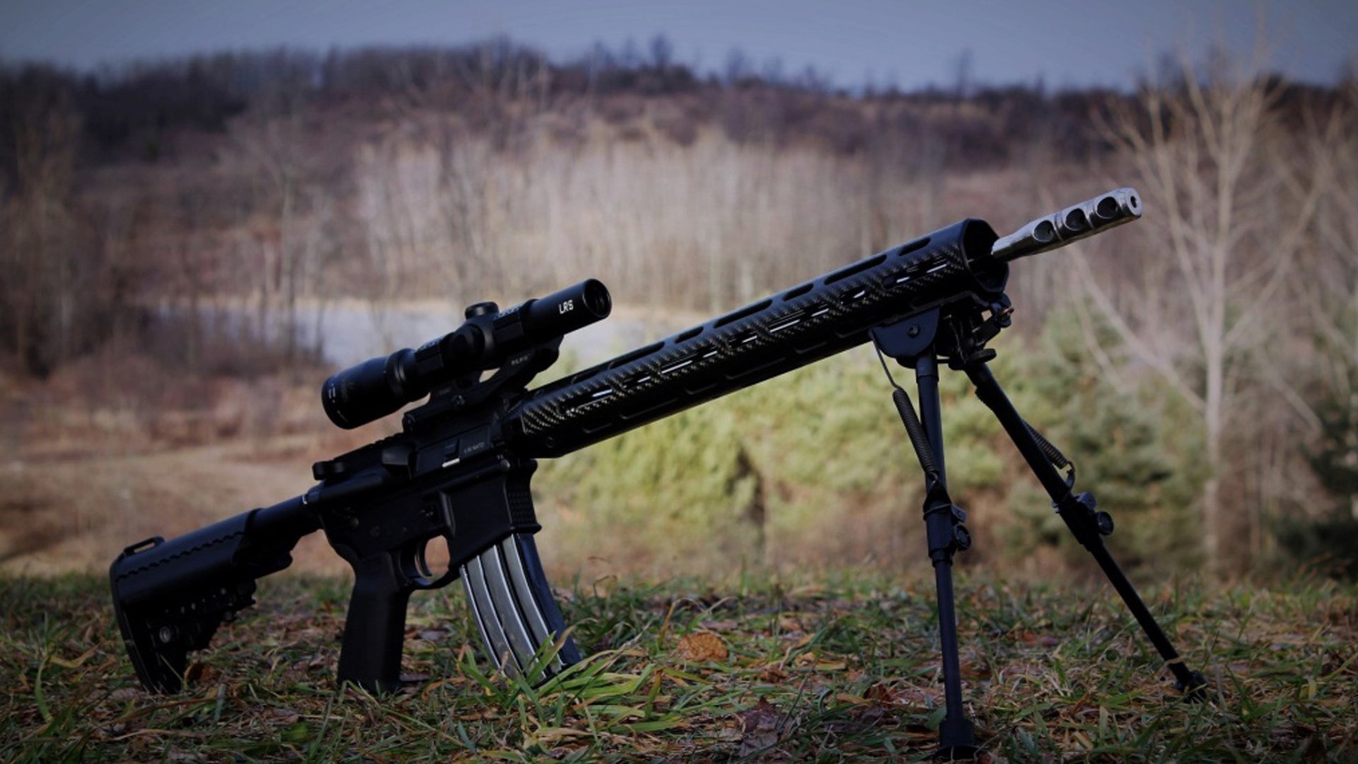 飞羽与利爪,当个体意志碾过团队之名