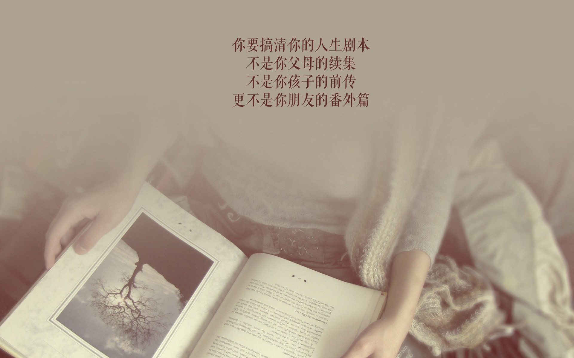 独步风云，2026世界杯D组生死战，努涅斯以节奏掌控书写葡萄牙胜局
