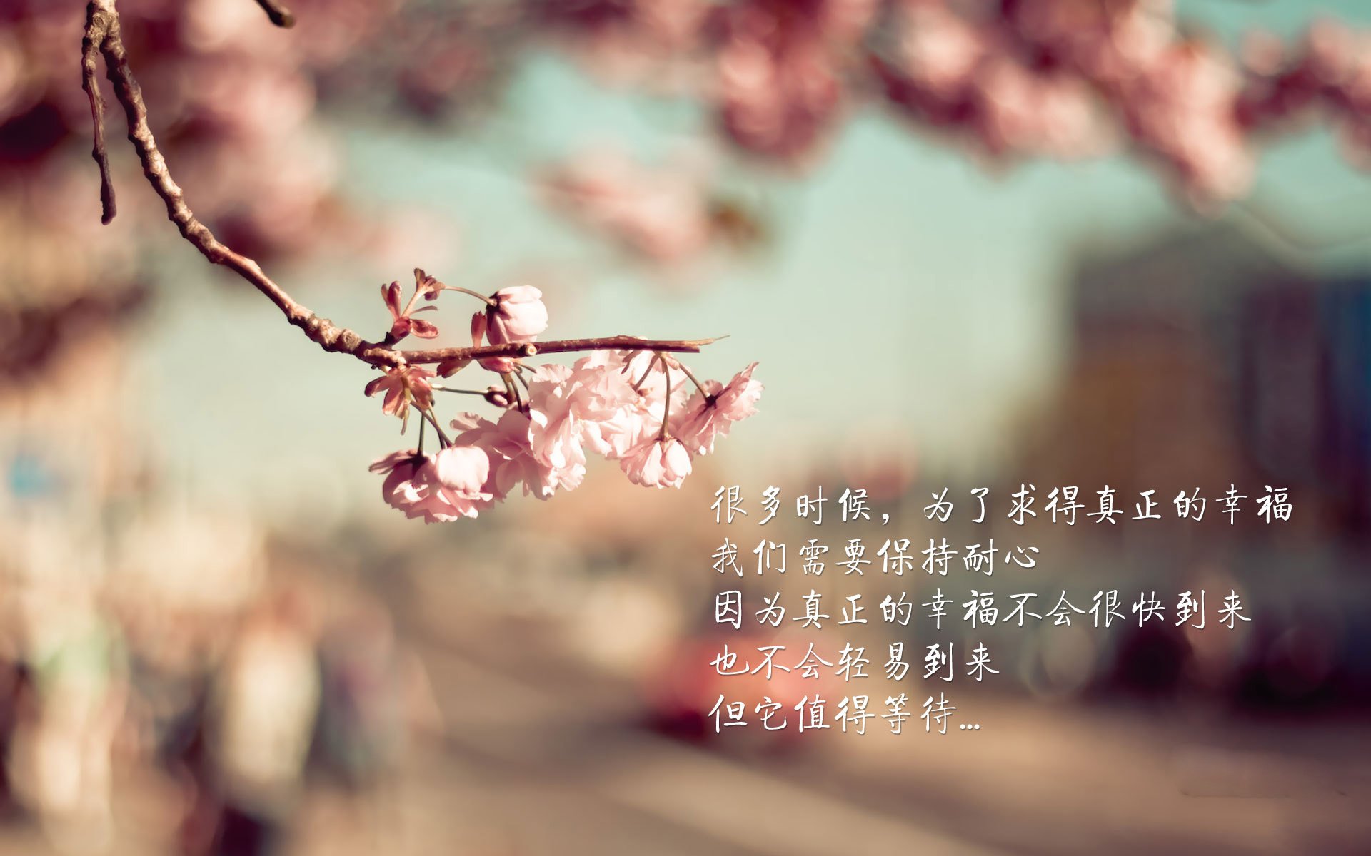 当齿轮咬合命运—2026世界杯D组,德布劳内与葡萄牙的无解方程式